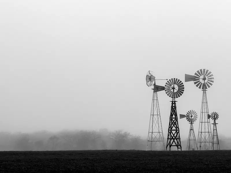 夫妻之间，没有“共享”过以下几样东西，说明不是真爱，错不了
