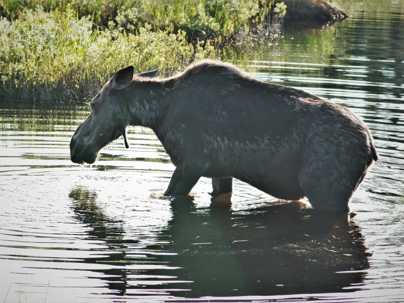 男女之间，若不介意同做这三件事，基本可以说关系很“暧昧”了