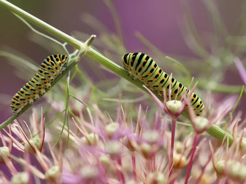 若男人逃避这四个话题，说明他只是装作爱你而已！