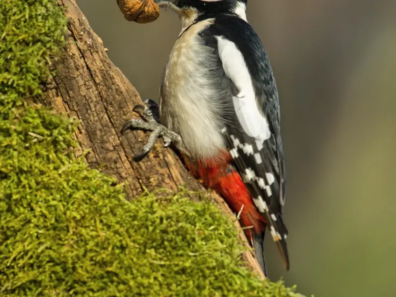 男人不自觉地这些行为，心里爱的可能不是你