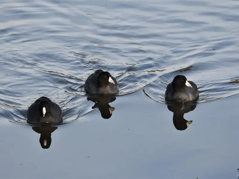 一个男人有这些表现，已经是爱上你了，别再傻傻的搞暧昧