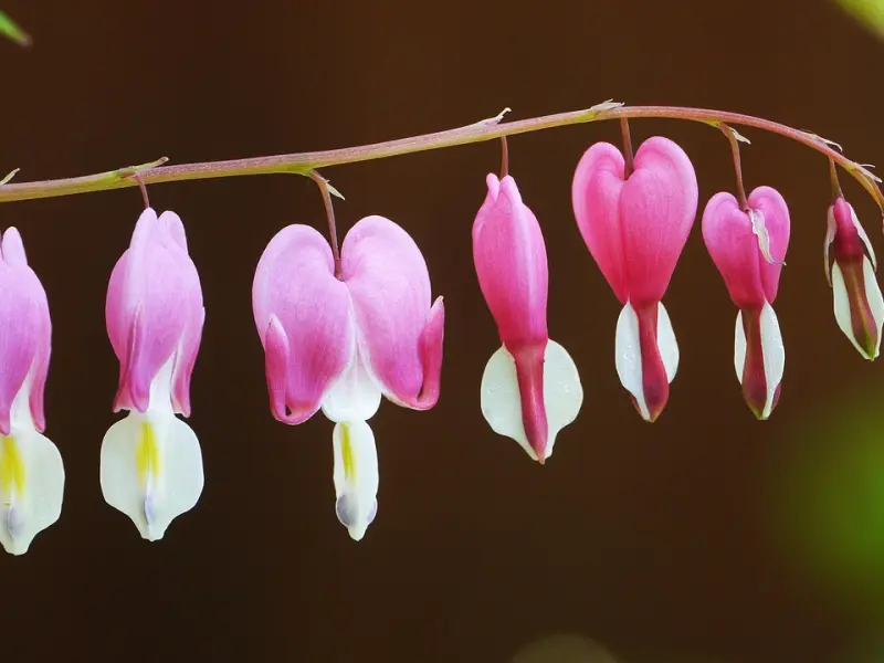 男人故意用这种方式来“疏远”你，说明对你真的没感觉