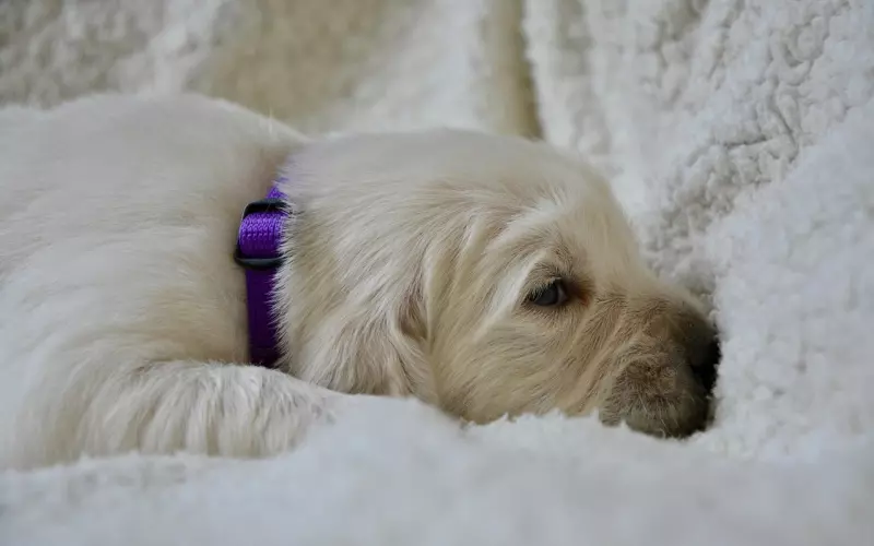 男人睡觉前，有这三个小动作，说明你是幸福的女人