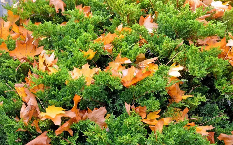 男人睡觉前，有这三个行为，说明他“视你如命”，且行且珍惜