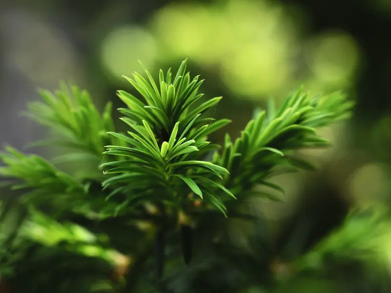 男人不爱你了，常说这5句话，别再自欺欺人了