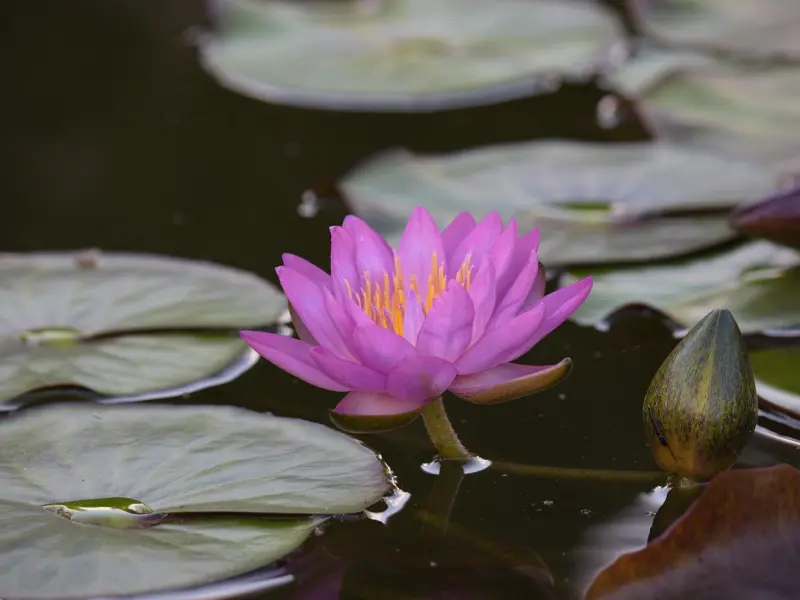 男人不主动找你聊天，他到底在想什么？