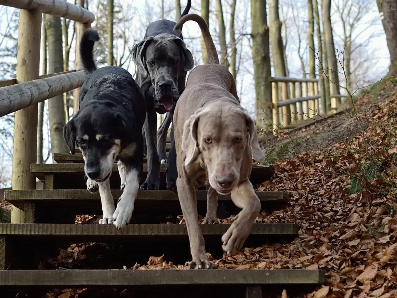 男人不主动找你，用三个方法可以轻松搞定，傻女人却只知道付出