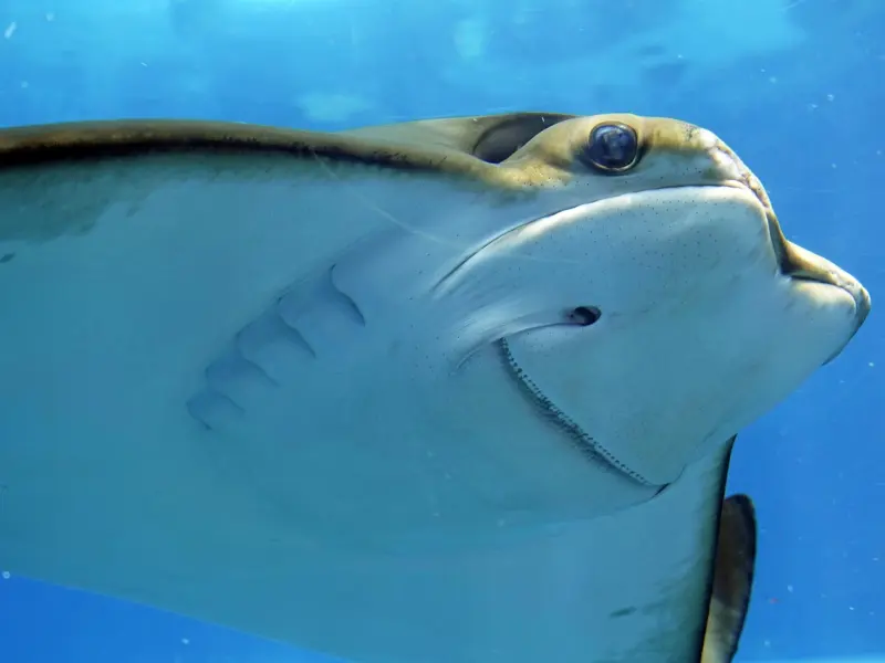 男人在睡前频繁有这样的表现，说明他早就爱你到骨子里