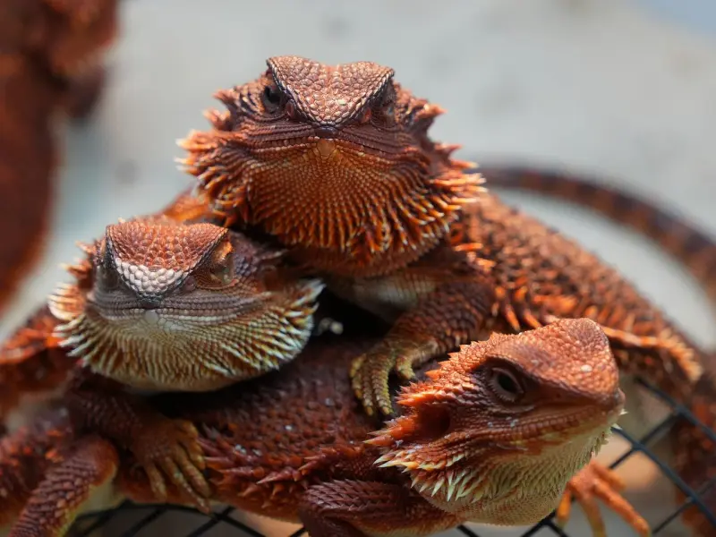 如果男人心里有别的女人，在你面前会有这三个行为