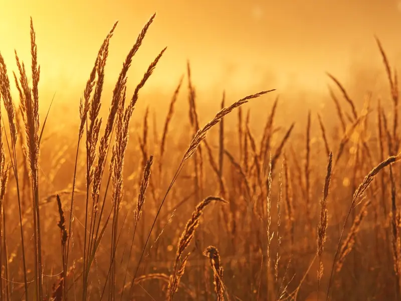 没给过你这4样东西的男人，那就早一点离开他吧！