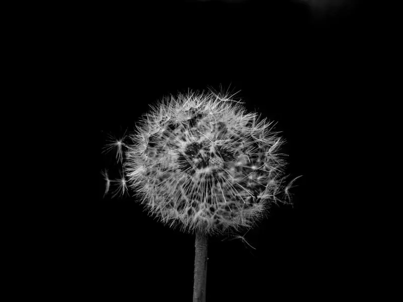 男人有这4个特征，女人会过的很苦！