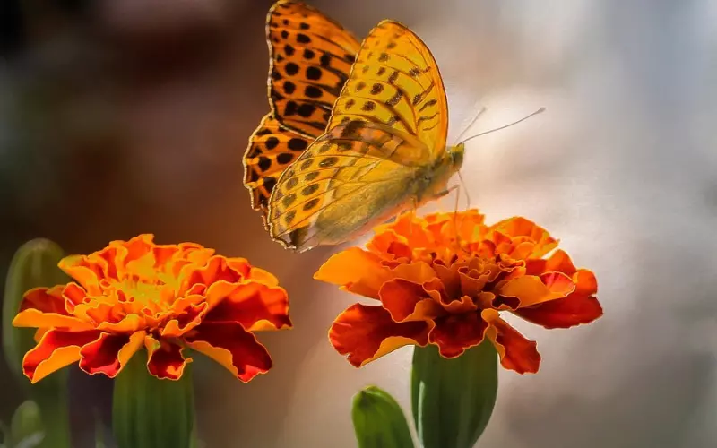 男人有这5个不靠谱的特征表现，就是妥妥的渣男，女人要学会远离