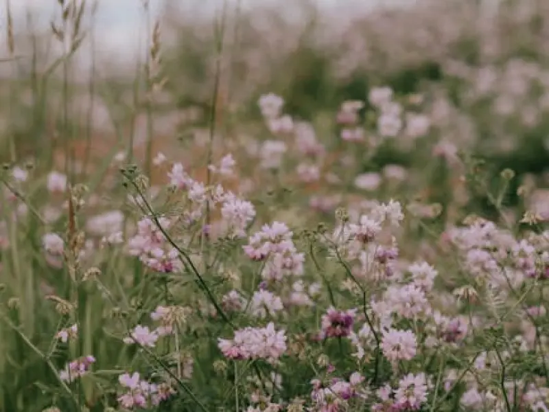 男人铁了心要离婚，如何才能不动声色的挽留?