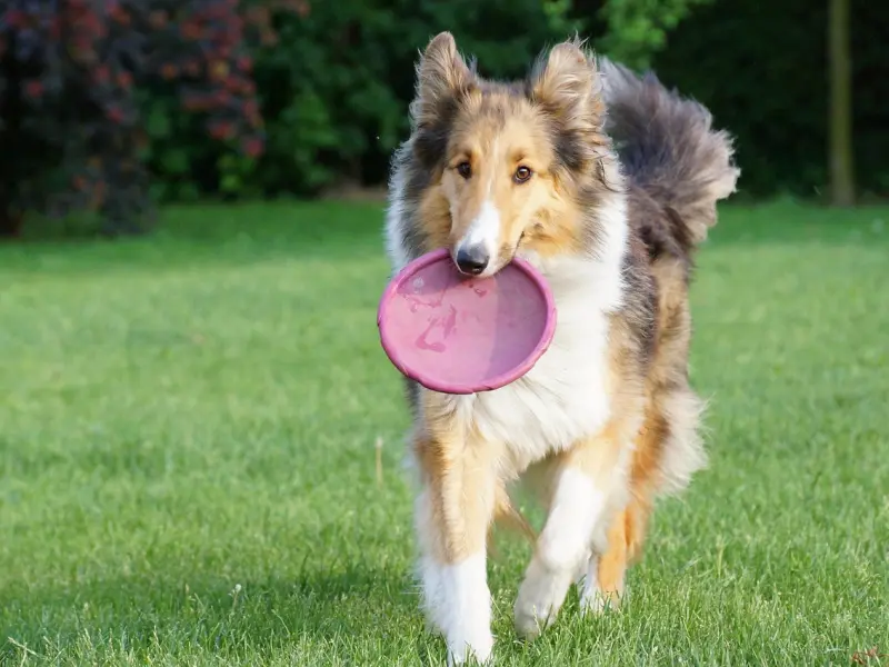 如果男人不愿意与你共享这些东西，只能说明你还是个“外人”