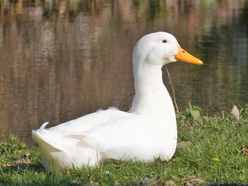 如果一个男人喜欢你，想追你，会有这几个表现！