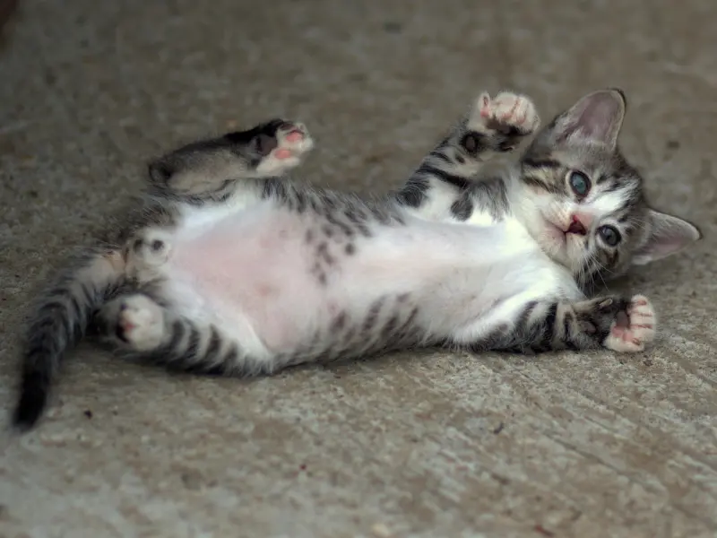 男人“发疯”似的想你了，会有这4种表现，藏不住！