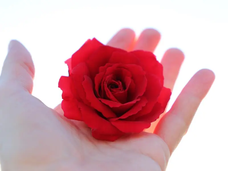 若一个男人经常在微信里发你这些话，很遗憾：他的心里大多没有你