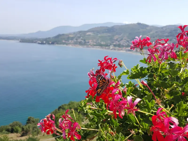 如果一个男人是真的爱你，那他一定会做这5件事！