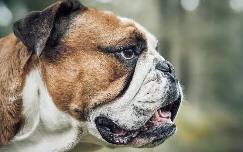 男人真的很想你，才会对你有这4种“关心”，女人知道吗