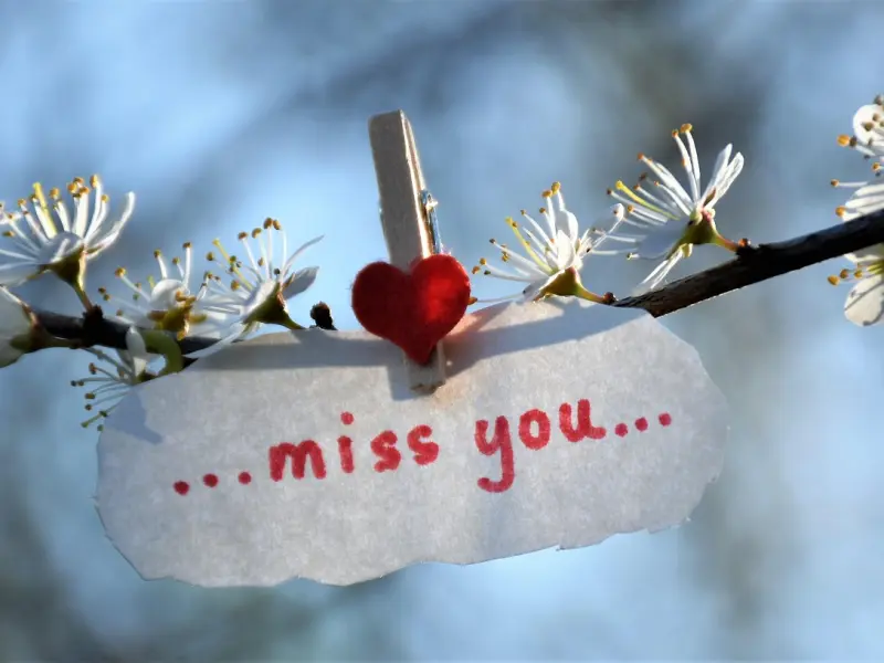 男人“深夜”发这5个消息，说明他在疯狂想念你