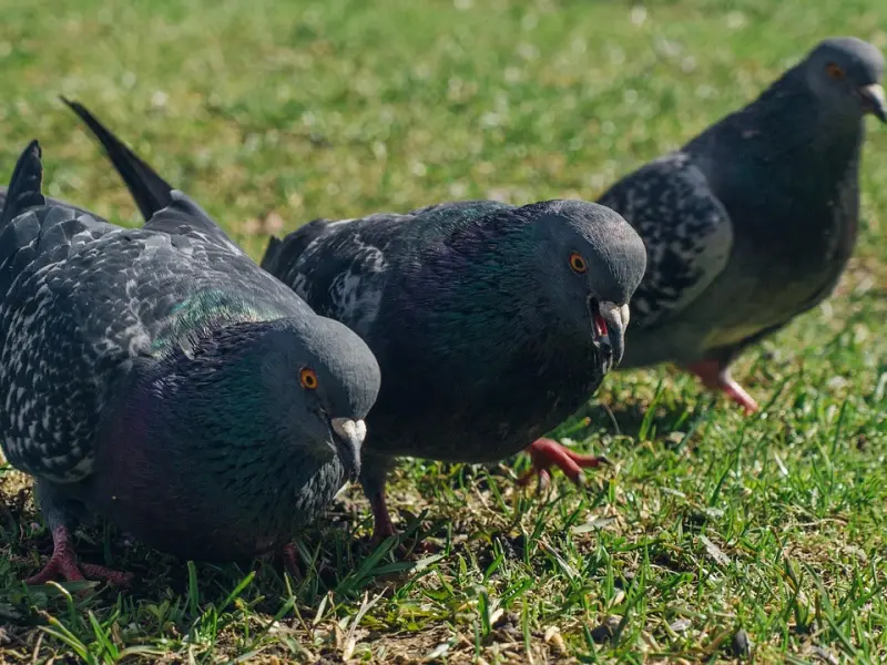 一个男人突然不联系你了，一般会有这三个原因！
