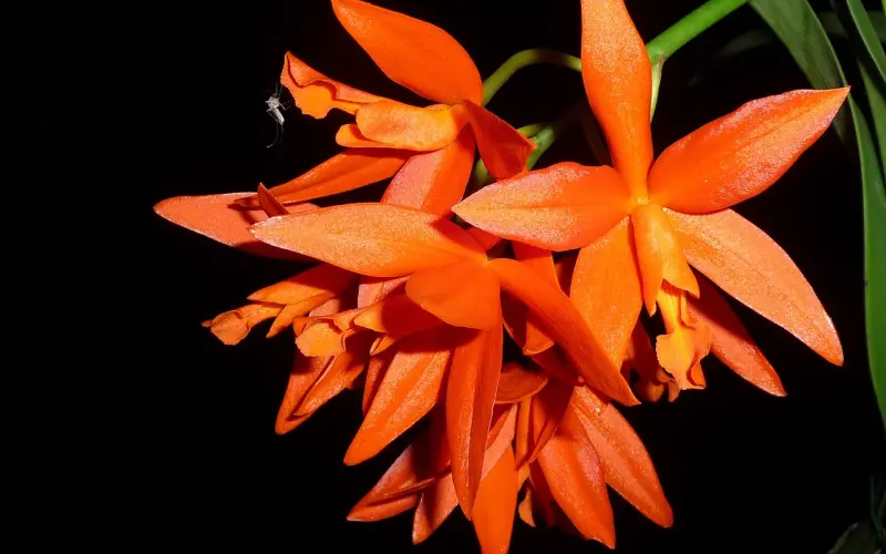 男人不给，你就别要