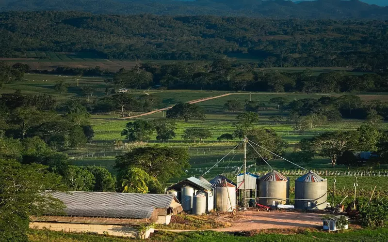 已婚女人想跟你开仓交粮，会有这些潜台词暗示你