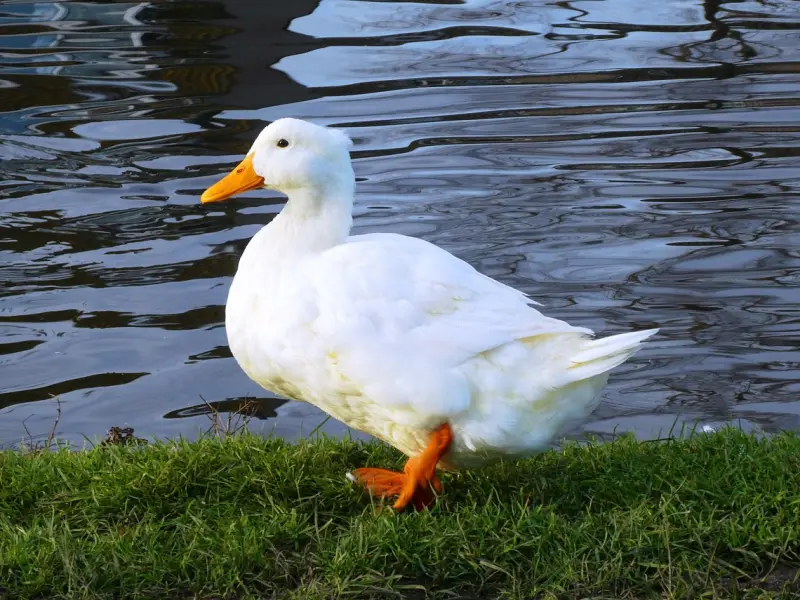 中年女人如果不“拒绝”你这些事，那她多半就是对你动情了