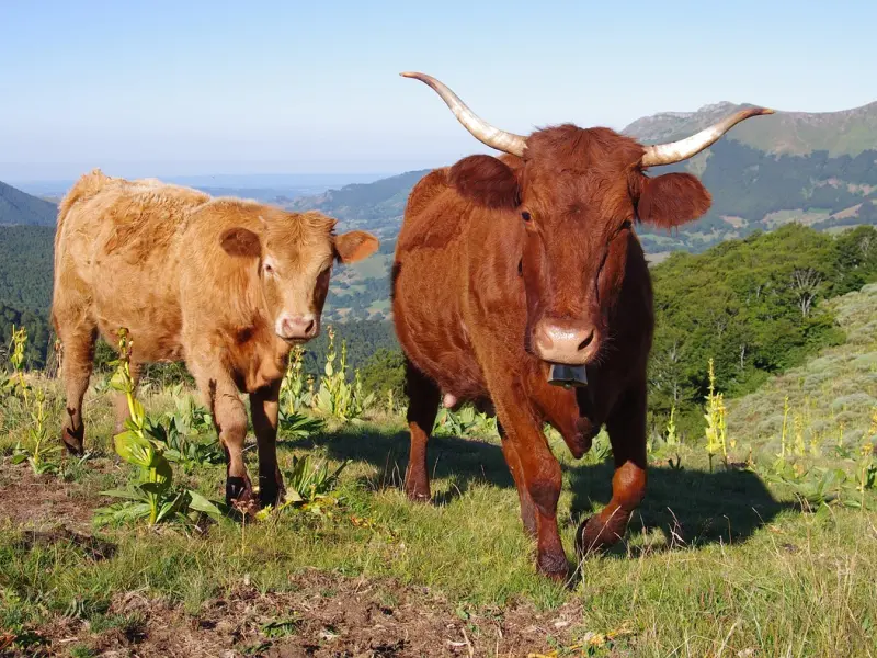 女人有这4种表现，是在暗示你主动“撩”她，男人别不清楚