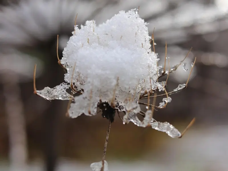 女人这种行为很频繁，说明你已经在她的心里“扎根”了！