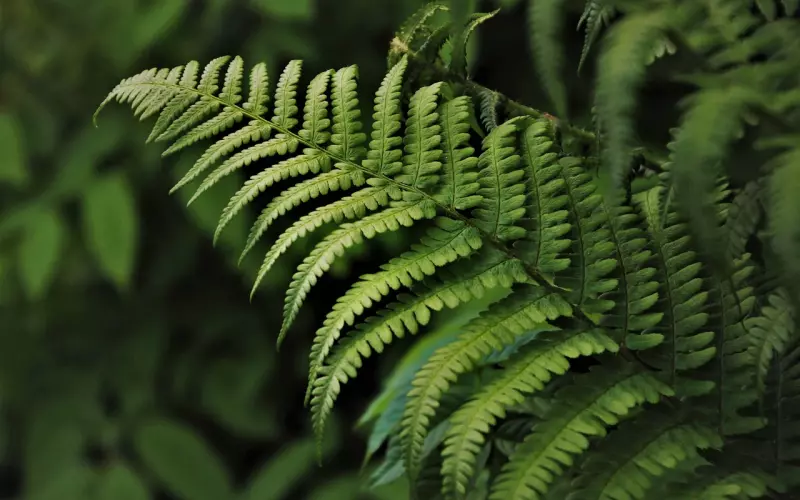 女人敢要男人这3样东西，多半是在暗示你，她动情了！