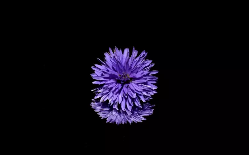 女人如果对你有这三种暗示，八成是喜欢你！