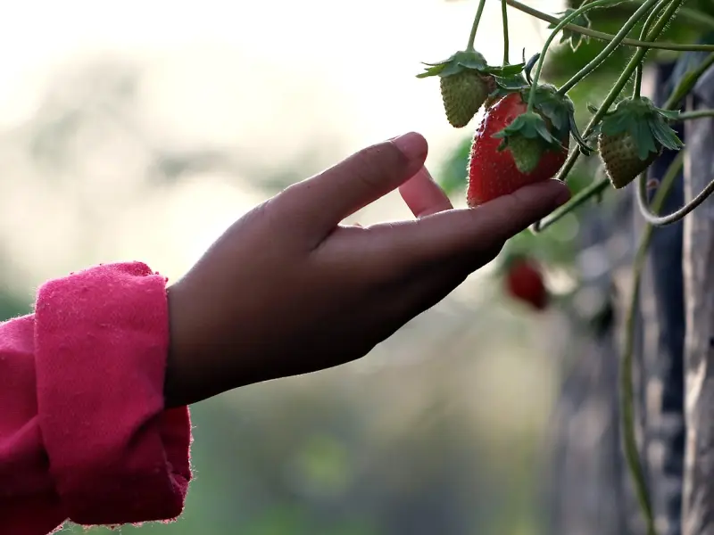 女人要是偷过人，这几个地方最害怕被触碰！