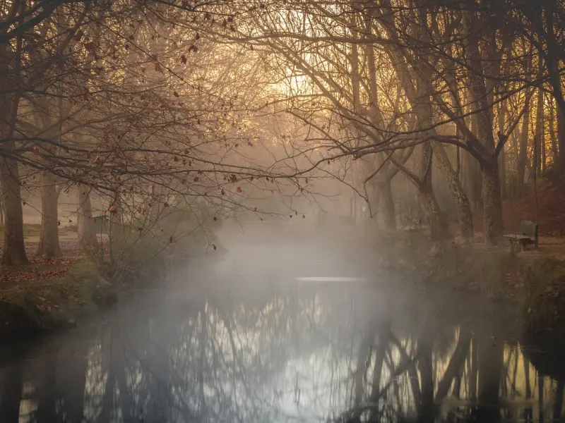 女人有这4个表现，证明她对你动了真情，及时出击