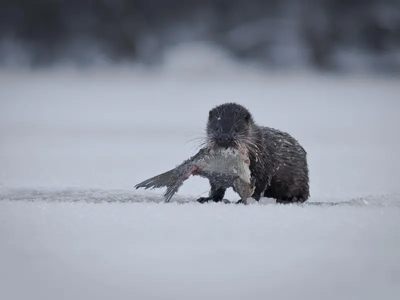 女人回家后身上有这四个表现，可能外面有人了！