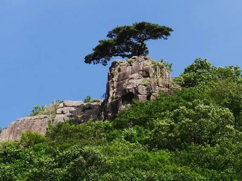 女人对你动了“真情”，少不了这种“举动”！