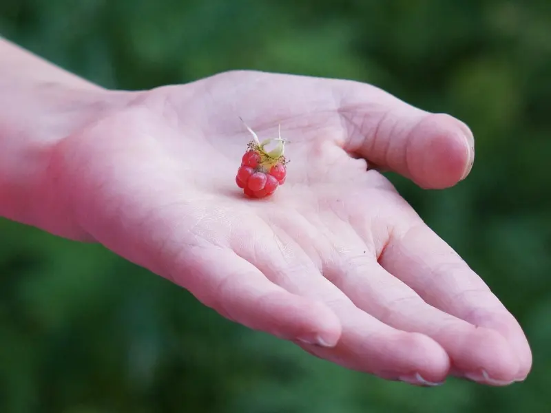 一个女人对你有兴趣，可能不会向你表白，却会给你这样的“暗示“