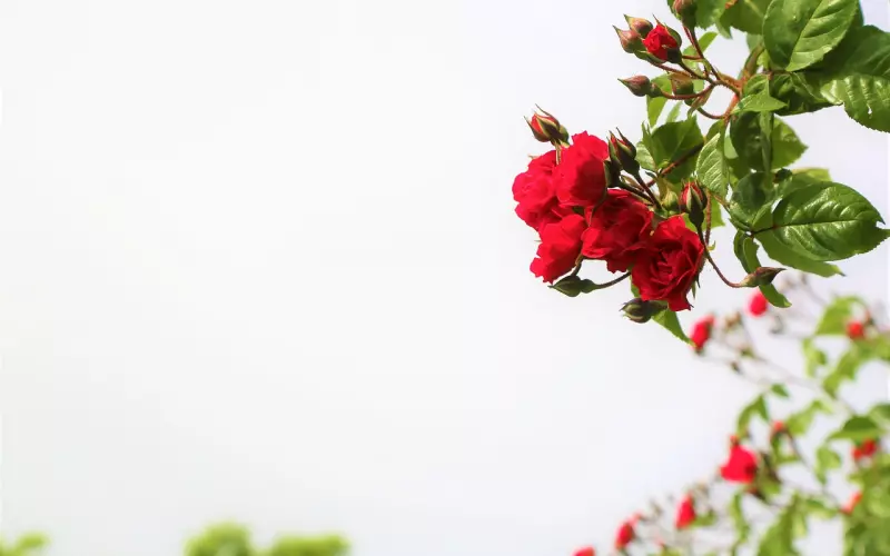 女人学会拒绝这些事，会让男人更加的爱你，你拒绝过几件