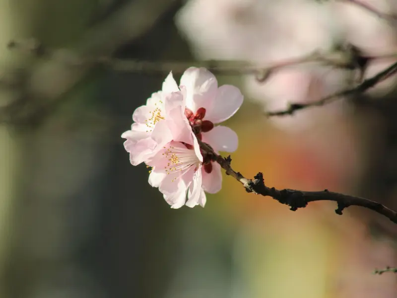 女人让你触碰这处隐私了，八成是对你动了情，想出轨了