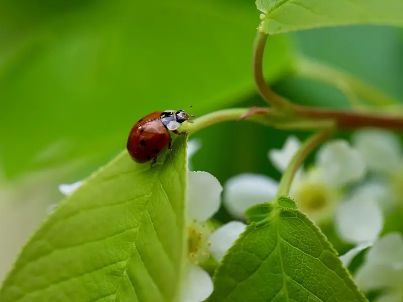 女人对这3件事说“不”，男人更容易深爱且尊重你，你能做到？