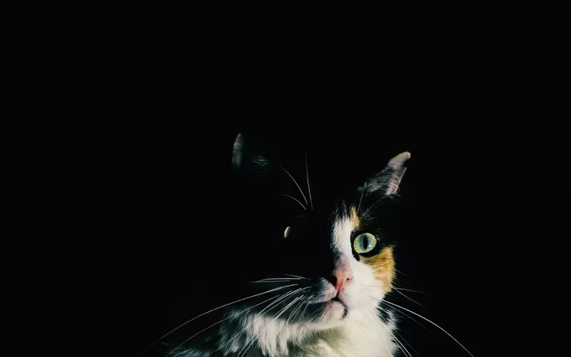 女人是不是偷偷喜欢你，看她的微信朋友圈就知道了