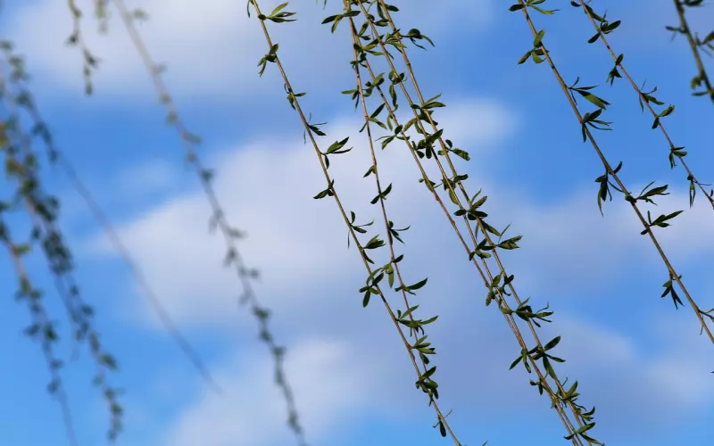 女人想跟你“几度春风”，浑身上下会有这些“暗示性”，别不懂！