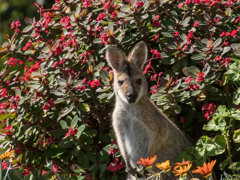 女人想要和你“搞事情”，会有这几个小动作，看完老脸一红！