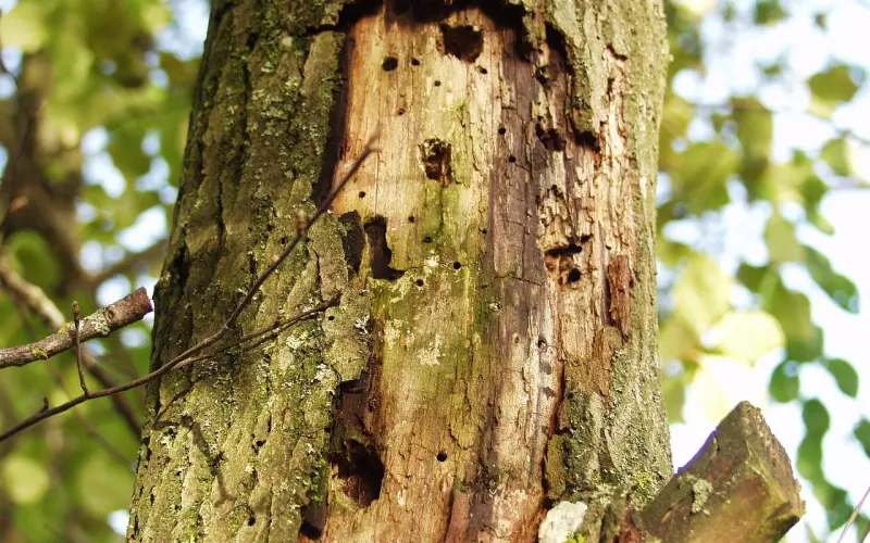 女人想挽回男朋友切忌死缠烂打，掌握这五点助你轻松挽回爱情