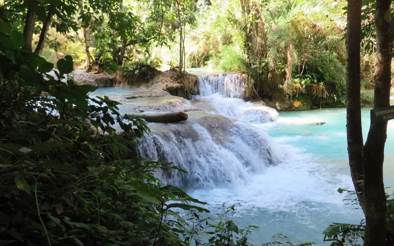 如果、后果、结果