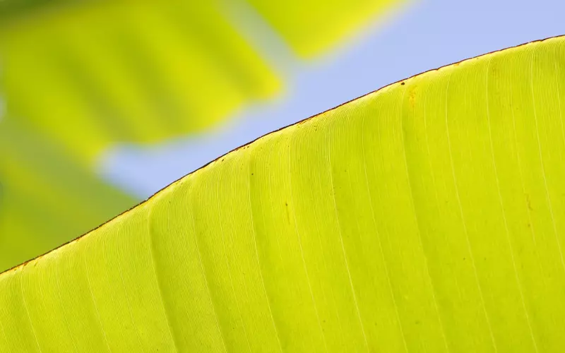 如果欣喜只在相逢，不如缄默从始至终