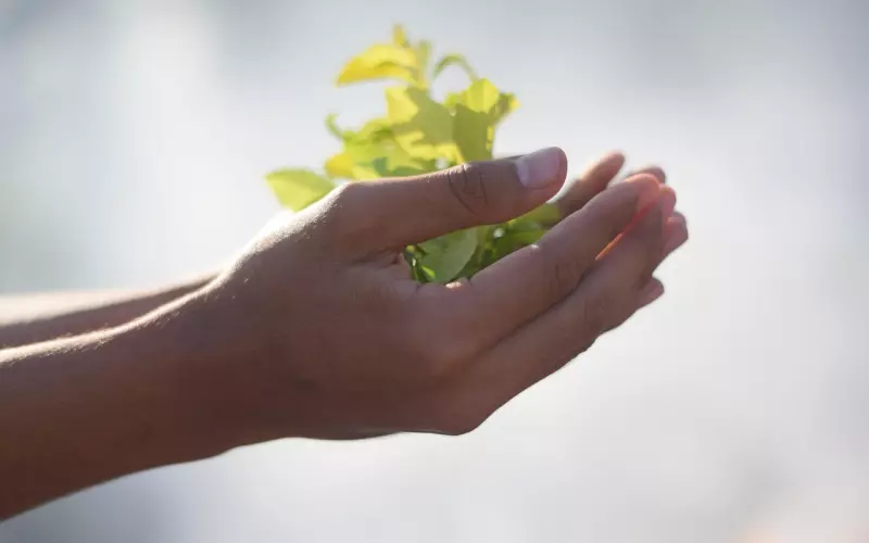 分手后他有这些行为，就尽快挽回吧！