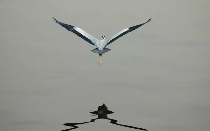 如果他不爱你，一定会有这两个表现