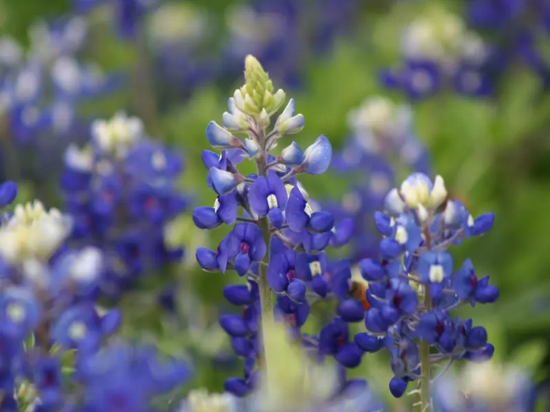 没亲过女人这三个地方，他还不够爱她