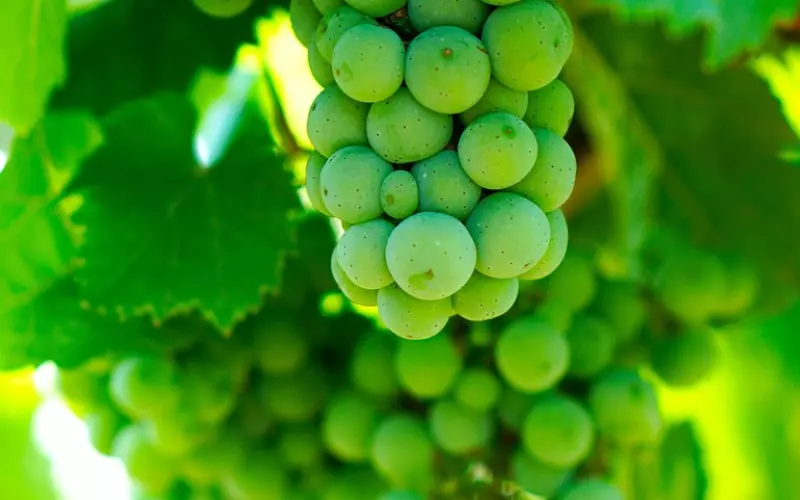 他不上进思想不成熟，能和他过一辈子吗？